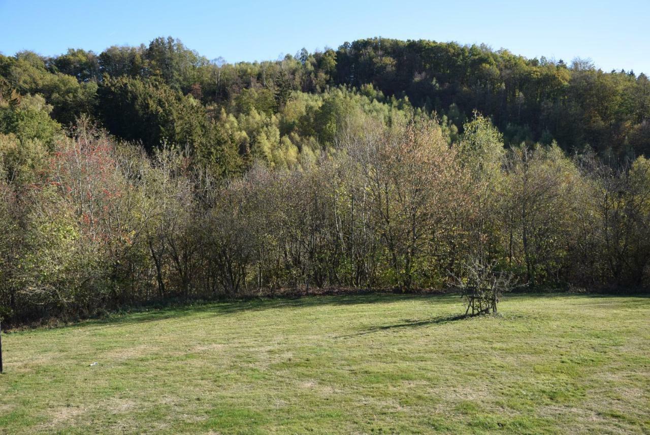 Вілла La Cle Des Champs Bertogne Екстер'єр фото
